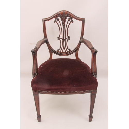 443 - A mahogany elbow chair in the Hepplewhite style - 1920s, the shield back with pierced vase splat hea... 