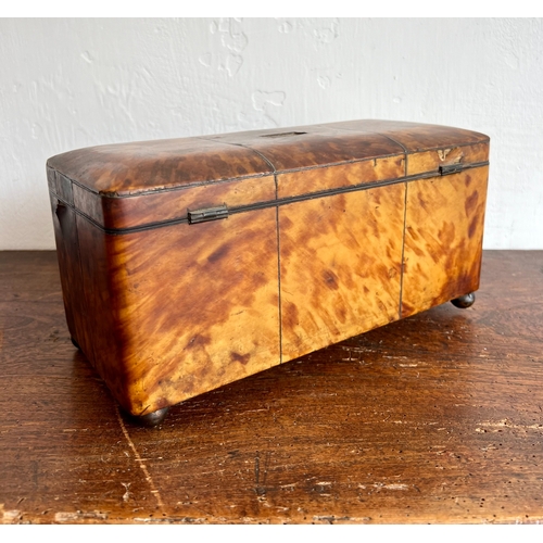 716 - A Regency tortoiseshell tea caddy - rectangular with domed lid and silver metal stringing, on bun fe... 