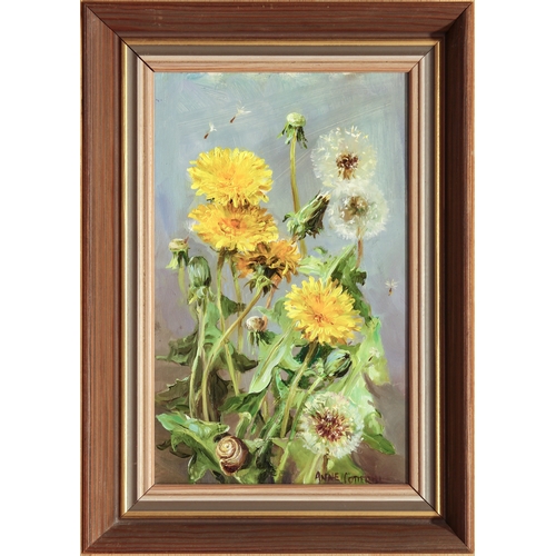 352 - Anne Cotterill (British, 1933-2010)
 Dandelions
 oil on board, signed lower right
 8 7/8 x 5½in (22.... 