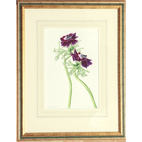 391 - Yvonne Marie Arnsdorf (British, contemporary)
 'Botanical Elegance'
 watercolour