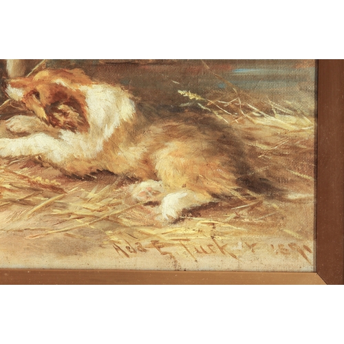 407 - Ada Elizabeth Tucker (British, fl.1879-1898)
 Six collie puppies in a stall
 oil on canvas, signed a... 