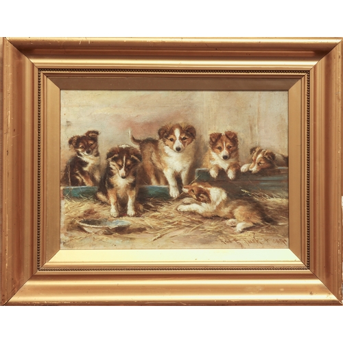 407 - Ada Elizabeth Tucker (British, fl.1879-1898)
 Six collie puppies in a stall
 oil on canvas, signed a... 