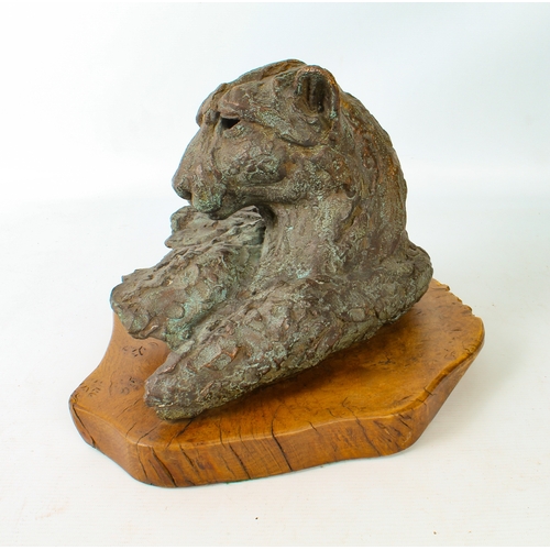 702 - A bronze sculpture: head of a cheetah, in the manner of Hamish Mackie - late 20th century, signed in... 