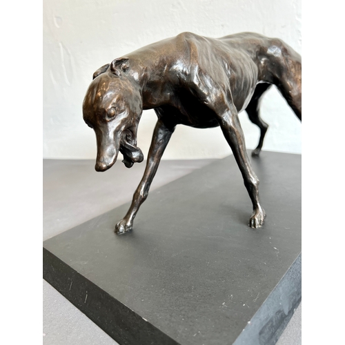 697 - **Philip Blacker (British, b.1949) - a bronze of a standing greyhound, its tongue lolling out of one... 