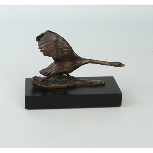 703 - Two modern bronzes - one depicting an angry swan with wings raised, mid-brown patination, signed wit... 