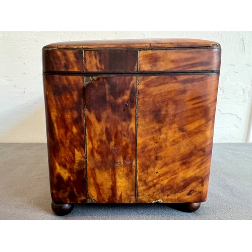 716 - A Regency tortoiseshell tea caddy - rectangular with domed lid and silver metal stringing, on bun fe... 