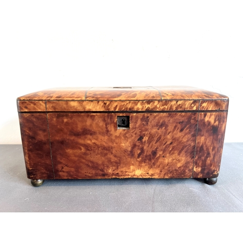 716 - A Regency tortoiseshell tea caddy - rectangular with domed lid and silver metal stringing, on bun fe... 