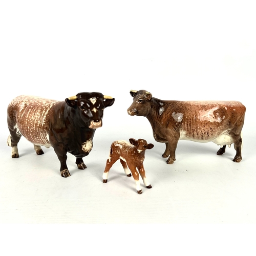 65 - A Beswick Dairy Shorthorn family - comprising a 1504 Bull, Ch. 'Gwersylt Lord Oxford 74th'; a 1510 C... 