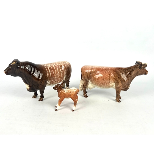 65 - A Beswick Dairy Shorthorn family - comprising a 1504 Bull, Ch. 'Gwersylt Lord Oxford 74th'; a 1510 C... 