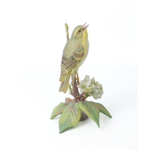 28 - A limited edition Royal Worcester Wood Warbler (Phylloscopus sibilatrix) modelled by James Alder - n... 