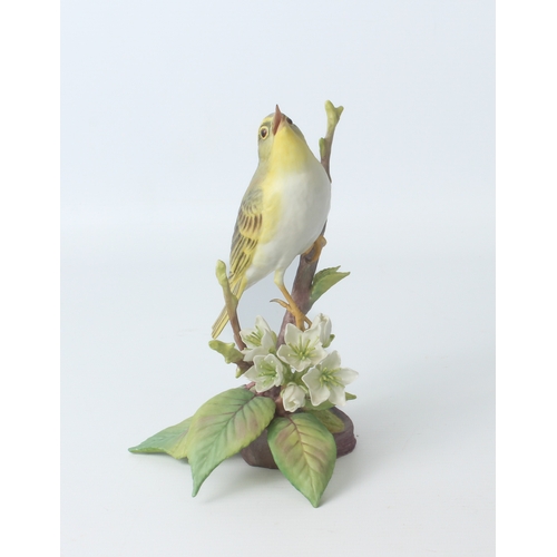 28 - A limited edition Royal Worcester Wood Warbler (Phylloscopus sibilatrix) modelled by James Alder - n... 