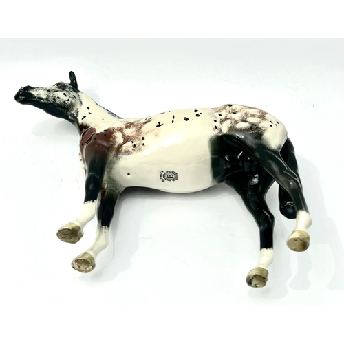 51 - A Beswick 1772 Appaloosa Stallion horse figure - black printed factory mark, 19.8cm high.