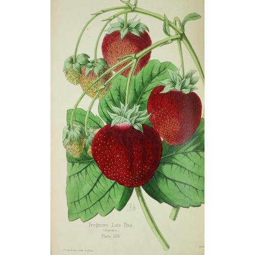 560 - With Hand-Coloured Plates  Coloured Plates: The Florist, Fruitier and Garden Miscellany, 8vo L. 1860... 