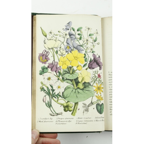 23 - Hand Coloured Plates: Plues (Margaret) Rambles in Search of Wild Flowers, 8vo L. 1864. Sec... 