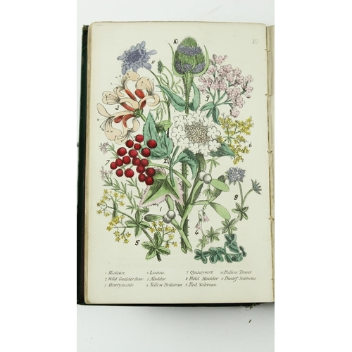 23 - Hand Coloured Plates: Plues (Margaret) Rambles in Search of Wild Flowers, 8vo L. 1864. Sec... 