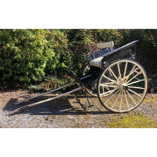 11 - A good 19th Century Back to Back Trap-Railli Car,  cob/horse size, with large 16 spoke iron and rubb... 