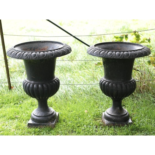 20 - A pair of Victorian cast iron Urns, with egg n' dart moulded rims, on circular bases, each approx. 7... 