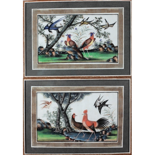 304 - An attractive and colourful pair of 19th Century Chinese Paintings on Rice paper, 