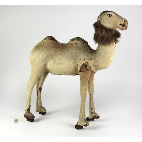 494 - A Child's Pull Toy Model of a Camel, covered in hide, on wheels; and a small Toy pull Horse on wheel... 