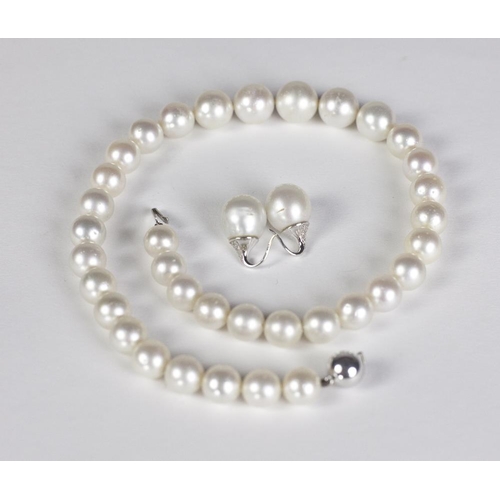 148 - An unusual set of single strand South Sea Pearls, (35 variant sizes) with matching single drop Ear-R... 