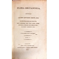 Authors Presentation CopySmith (James Edw.) Flora Britannica, 3 vols. roy 8vo L. 1800 - 1804. First ... 