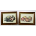 An attractive set of 8 coloured Prints depicting various Fruit, in oak frames. (8)