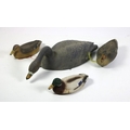 A large collection of rubber Duck & Goose Decoys, as a lot, w.a.f. (1)