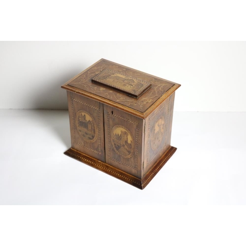 674 - An attractive and fine quality 19th Century Killarney wood Specimen Box, of small proportions with l... 