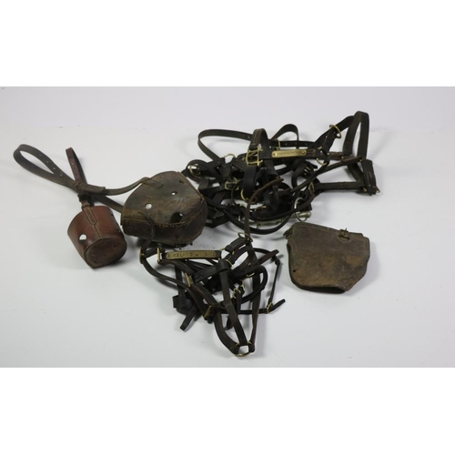 81 - A collection of leather Bridles, Mussels, Stirrups, Bits etc. as a lot, w.a.f. (1)