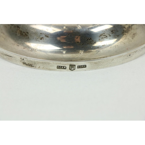 216 - A 19th Century Irish 