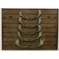 A 19th Century wooden and panelled framed Coat Rack / Fish Rod Rack, with deer horns surmounted, 56