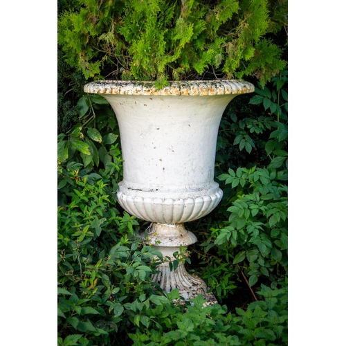 137 - A massive pair of heavy compana shaped cast iron Garden Urns, each with a reeded rim and half reeded... 