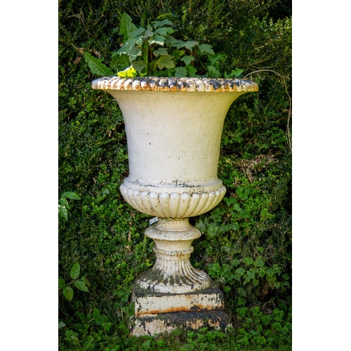 137 - A massive pair of heavy compana shaped cast iron Garden Urns, each with a reeded rim and half reeded... 