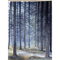 Peter Knuttel (b.1945) Watercolour, ''Woodland, Co. Wicklow,'' signed, 29'' x 22'' (73cms x 56cms). ... 