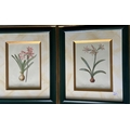 A pair of colourful Flower Prints, in attractive frames, 11'' x 8'' (28cms x 20cms); together with a... 