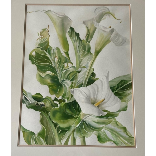 78 - Patricia Jorgensen (b.1936) Watercolour, Still Life, ''Arum Lilies,'' signed, inscribed and dated '9... 