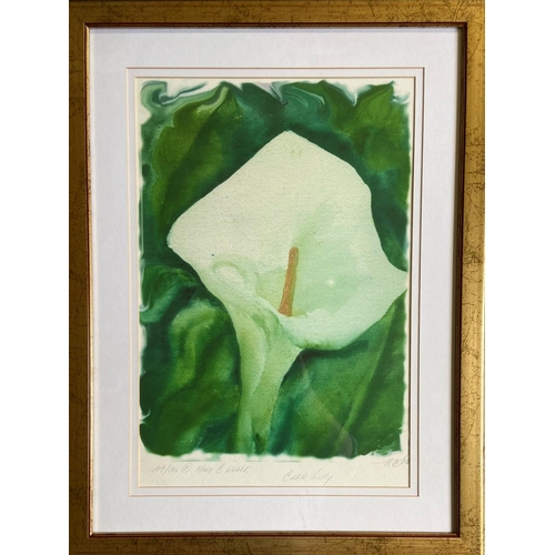 88 - F.D. Flood, 21st CenturyWatercolour, Still Life, ''Flowers,'' signed, 15'' x 12'' (38cms x 31cms); t... 