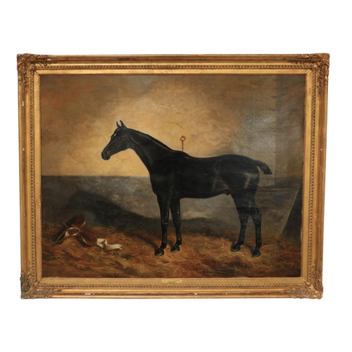 461 - Benjamin Cam Norton, (1835 - 1900) An attractive pair of Equestrian Portraits, depicting a bay ... 