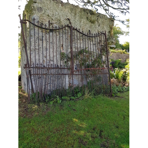 599 - The Original iron Gates from Killester House A very impressive large pair of wrought iron Entrance G... 