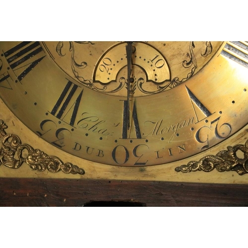 551 - An Irish George III period mahogany Longcase Clock, the brass dial with Roman and Arabic numerals, t... 