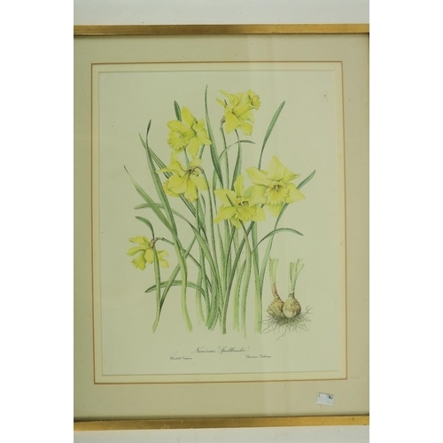 158 - A collection of 7 various coloured Flower and Bird Prints, various sizes. (7)