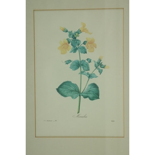 158 - A collection of 7 various coloured Flower and Bird Prints, various sizes. (7)