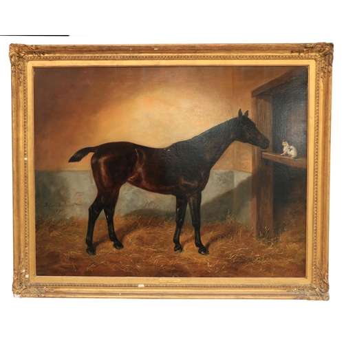 461 - Benjamin Cam Norton, (1835 - 1900) An attractive pair of Equestrian Portraits, depicting a bay ... 