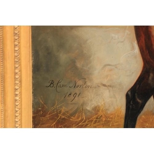 461 - Benjamin Cam Norton, (1835 - 1900) An attractive pair of Equestrian Portraits, depicting a bay ... 