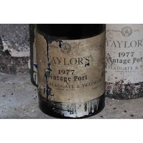 588 - Twelve Bottles of Taylors 1977 Vintage Port, labels worn and damp damage, as a lot, w.a.f. (12)... 