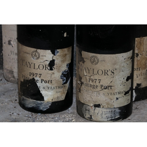 589 - Twelve Bottles of Taylors 1977 Vintage Port, labels worn and damp damage, as a lot, w.a.f. (12)... 