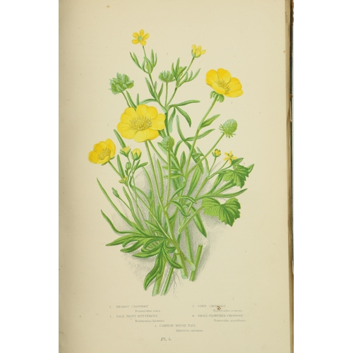 42 - Fine Coloured Plates: Pratt (Anne) The Flowering Plants, Grasses, Sedges & Ferns of Great Britai... 