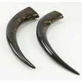 An unusual pair of 19th Century Animal Horns, with lacquer decoration in the Oriental style, approx.... 
