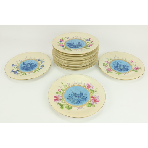 54 - A good quality set of 13 English porcelain Dessert Plates, the yellow ground bodies with hand painte... 