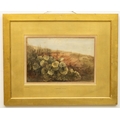 Andrew Nicholl, RHA (1804-1886) “Coltsfoot”, watercolour,  landscape flora, approx. 23 x 34cms (9” x... 